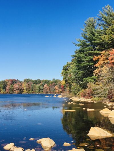 F. Gilbert Hills State Forest - Foxborough, MA