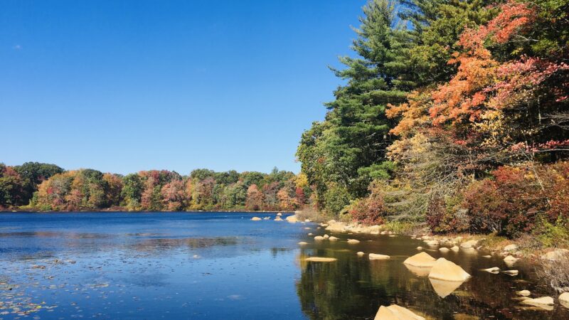 F. Gilbert Hills State Forest - Foxborough, MA