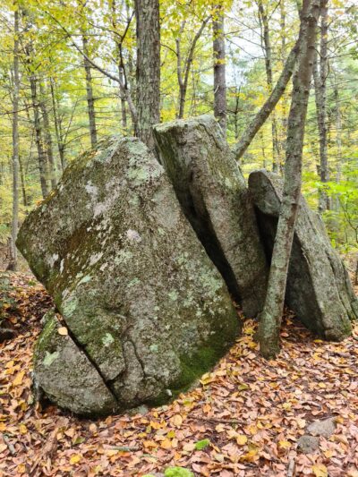 F. Gilbert Hills State Forest - Foxborough, MA