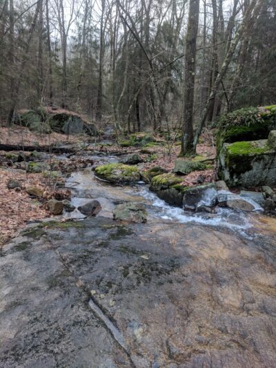 F. Gilbert Hills State Forest - Foxborough, MA
