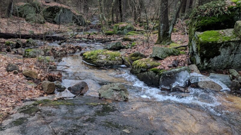 F. Gilbert Hills State Forest - Foxborough, MA