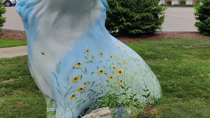 Foxborough Common - Foxborough, MA