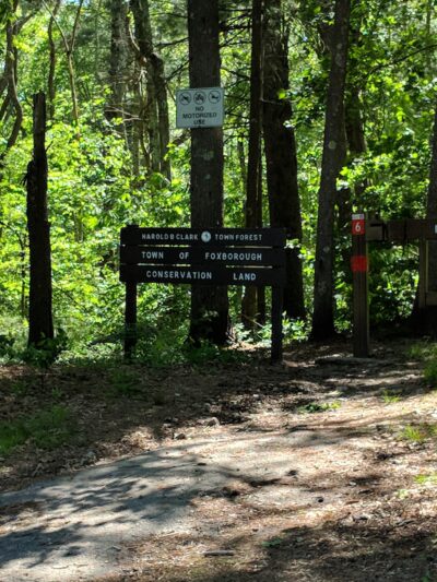 Harold B. Clark Town Forest - Foxborough, MA