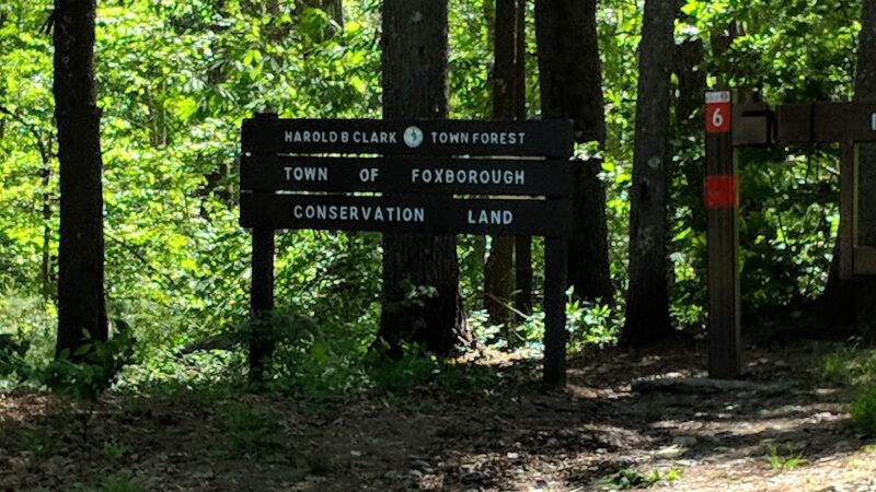 Harold B. Clark Town Forest - Foxborough, MA