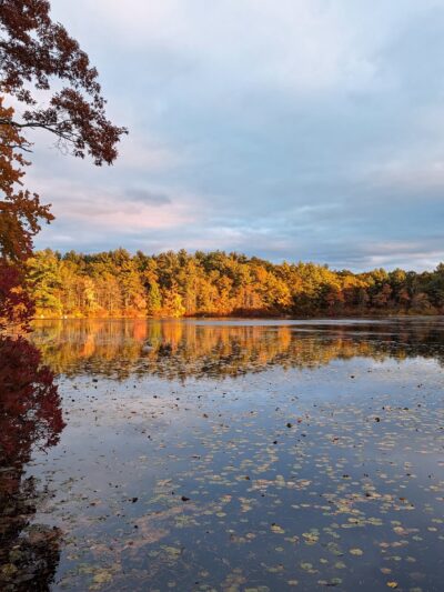 Harold B. Clark Town Forest - Foxborough, MA