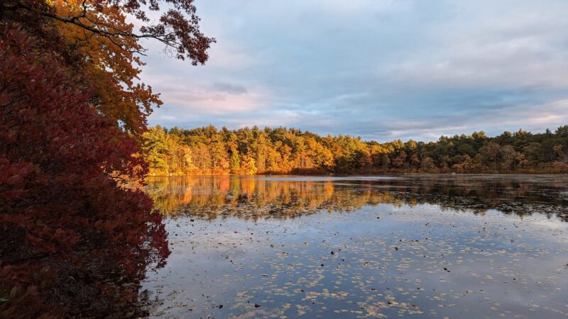 Harold B. Clark Town Forest - Foxborough, MA