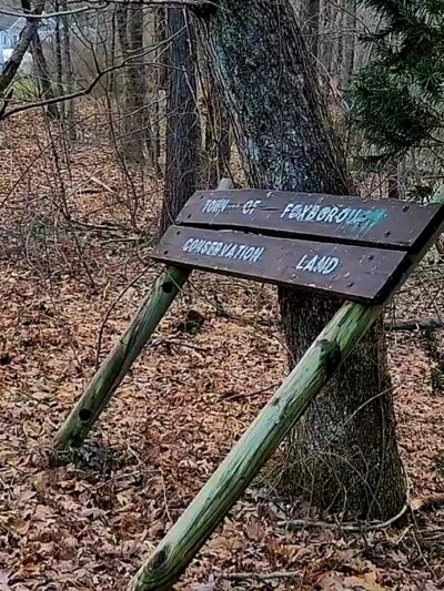 Harold B. Clark Town Forest - Foxborough, MA