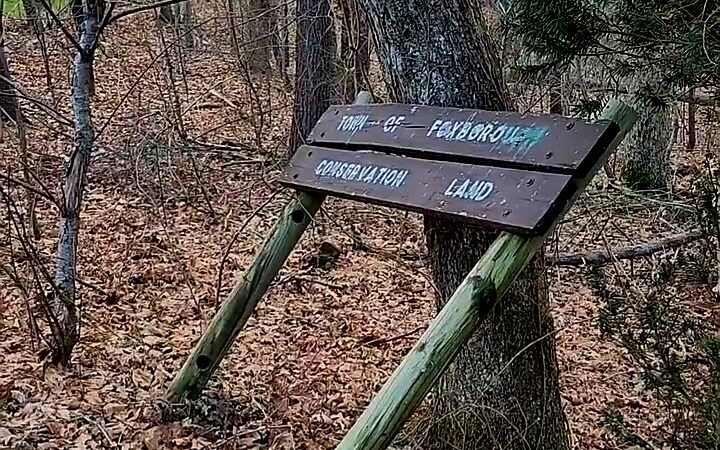 Harold B. Clark Town Forest - Foxborough, MA