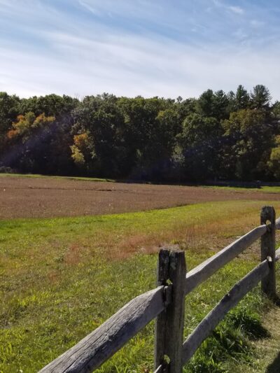 The Nature Trail and Cranberry Bog - Foxborough, MA