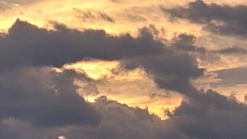 Manchester Lakes Park - Franconia, VA