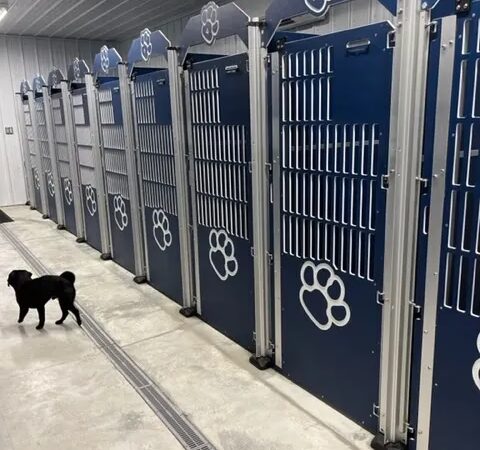 Farmer Pup's Playhouse - Frankford, DE