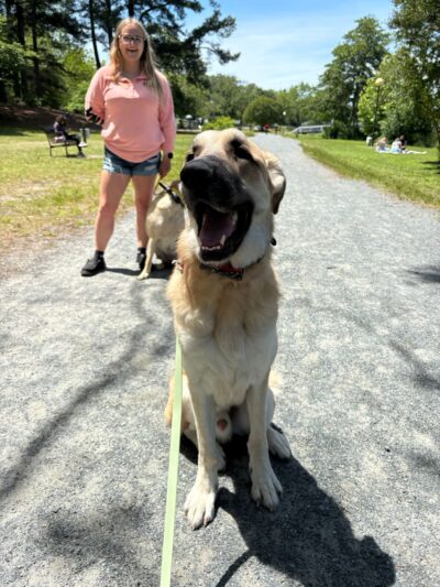 Off Leash K9 Training Southern Delaware - Frankford, DE