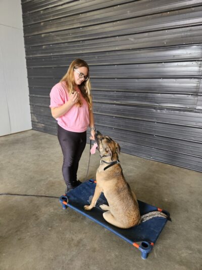 Off Leash K9 Training Southern Delaware - Frankford, DE