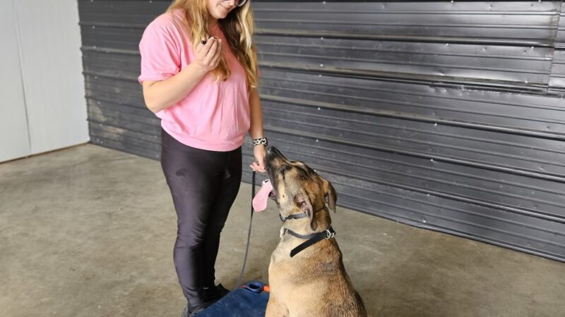 Off Leash K9 Training Southern Delaware - Frankford, DE