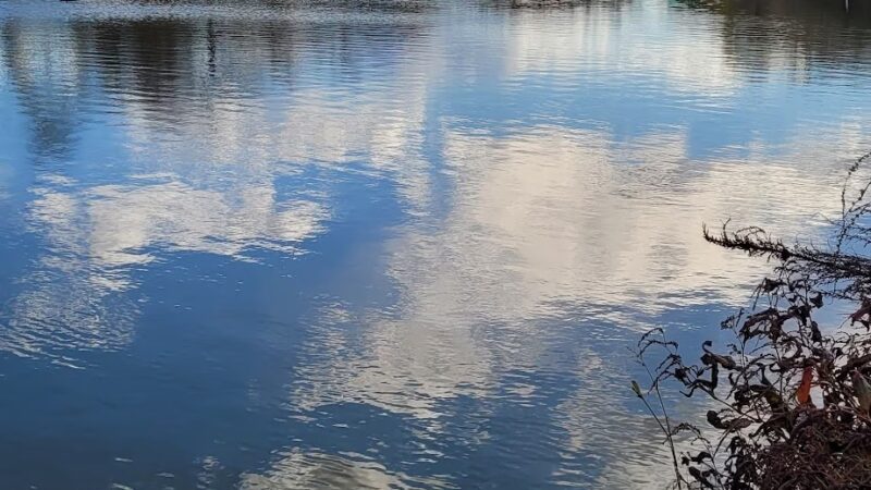 Fisher Grove State Park - Frankfort, SD
