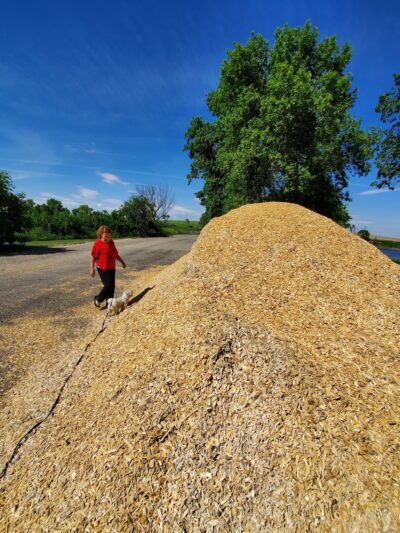 Fisher Grove State Park - Frankfort, SD