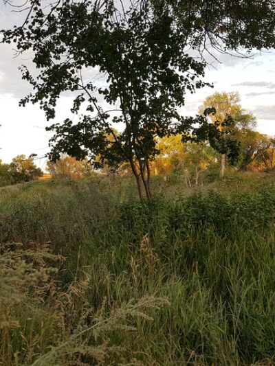 Fisher Grove State Park - Frankfort, SD