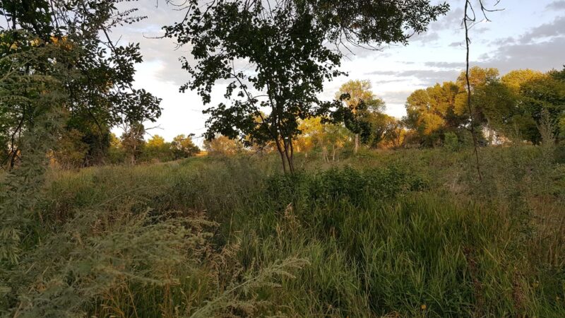 Fisher Grove State Park - Frankfort, SD