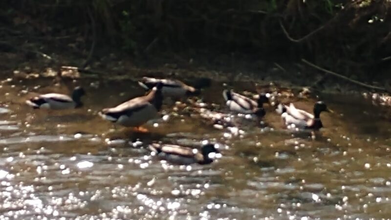 Community Park - Franklin, IN