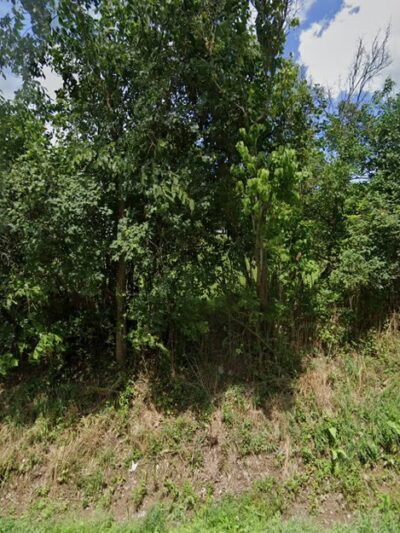 Unadilla Dog & Animal Control - Franklin, NY