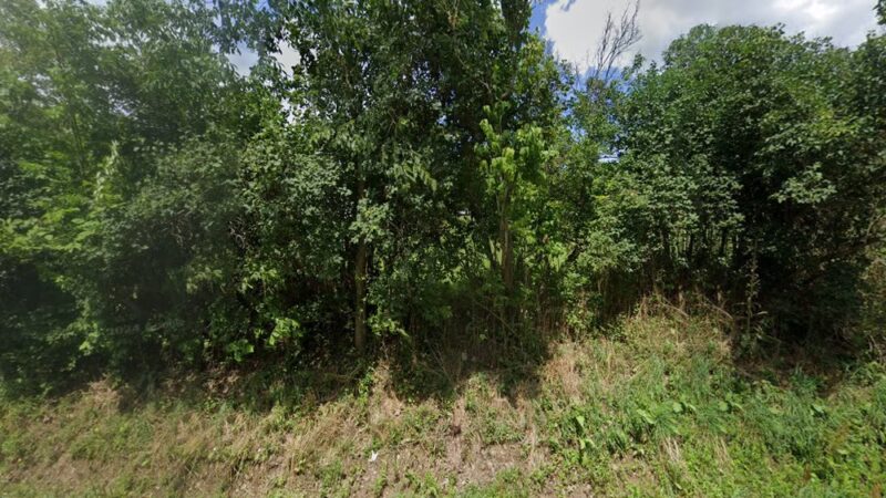 Unadilla Dog & Animal Control - Franklin, NY