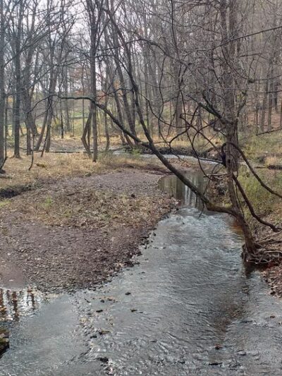 Butler Road Natural Area - Franklin Park, NJ