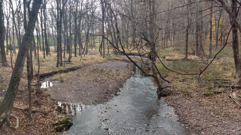Butler Road Natural Area - Franklin Park, NJ
