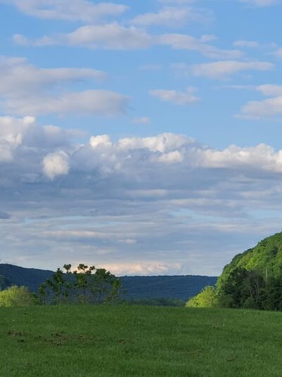 Riverfront Park - Franklin, PA