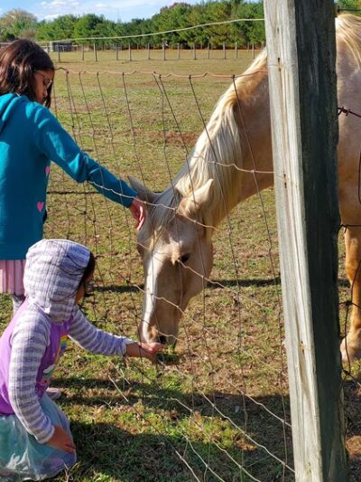 Oasis Animal Sanctuary - Franklinville, NJ
