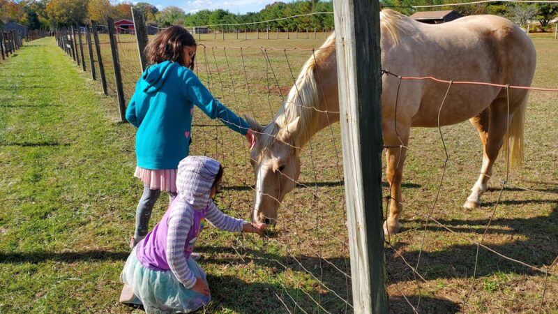 Oasis Animal Sanctuary - Franklinville, NJ