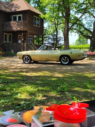 Oasis Animal Sanctuary - Franklinville, NJ