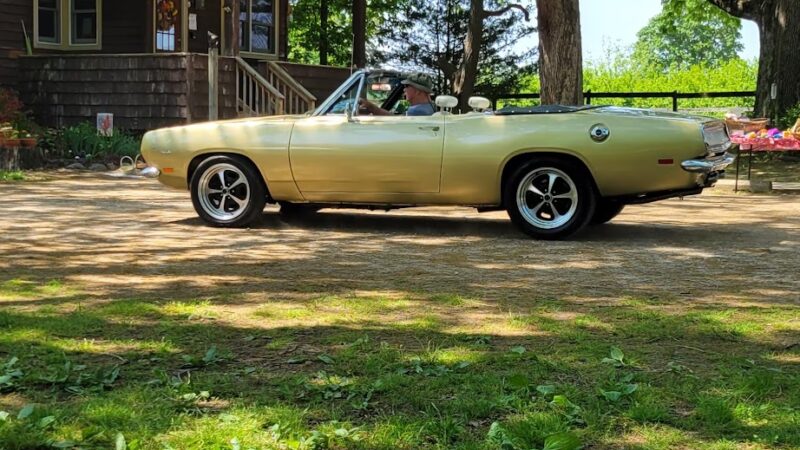 Oasis Animal Sanctuary - Franklinville, NJ