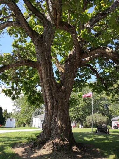 Frankton Softball Fields - Frankton, IN
