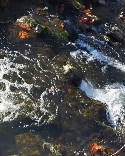Azalea Park - Wanda Priest Park - Fredericktown, MO