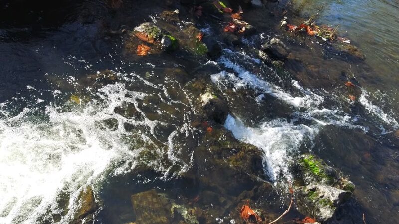 Azalea Park - Wanda Priest Park - Fredericktown, MO