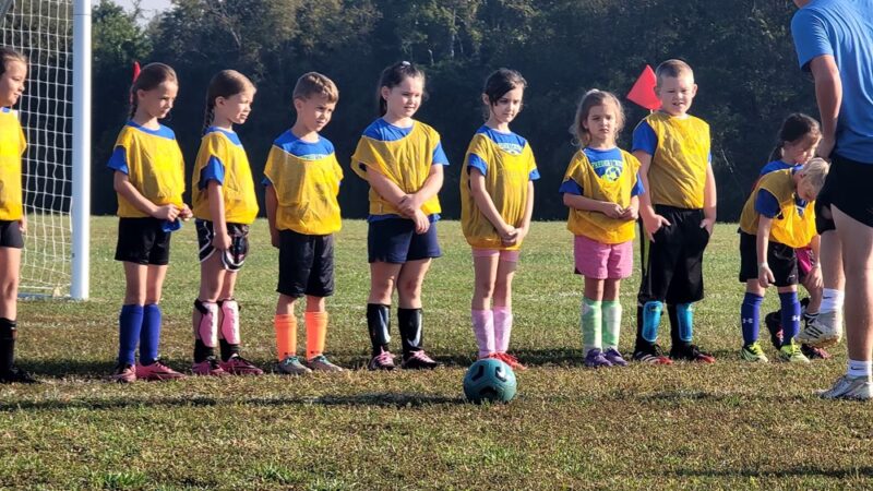 Fredericktown Sports Complex - Fredericktown, MO