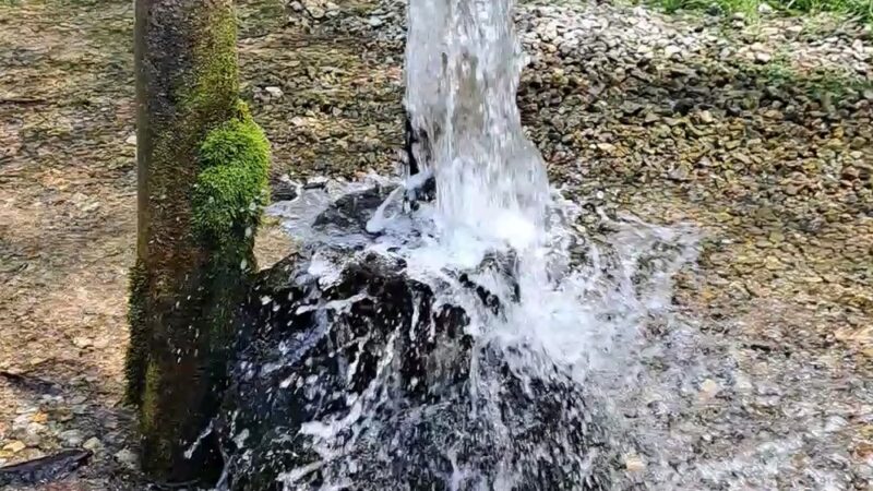 Sycamore Valley Artesian Well - Fredericktown, MO