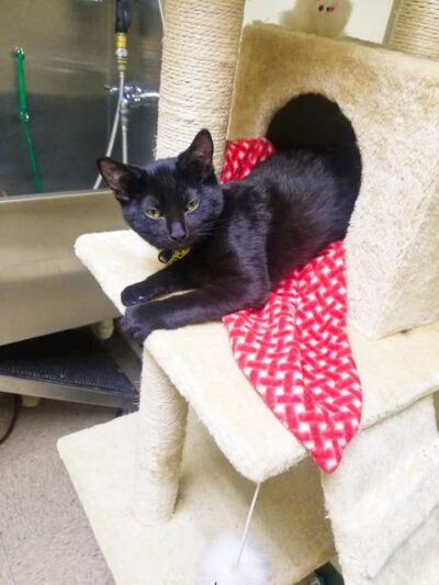 Autumglo Pet Lodge - Fredonia, WI