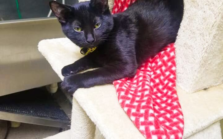 Autumglo Pet Lodge - Fredonia, WI