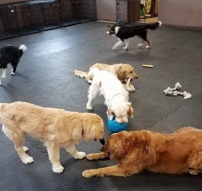 Autumglo Pet Lodge - Fredonia, WI