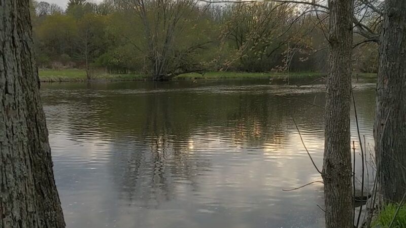 Waubedonia Park - Fredonia, WI