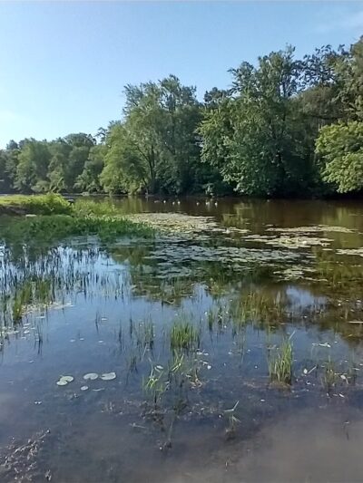 Waubedonia Park - Fredonia, WI