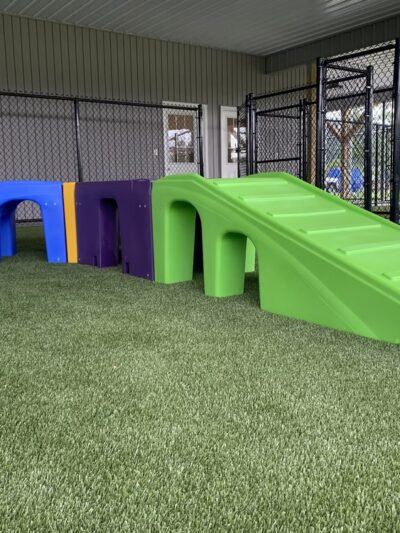 D and J's Pet Lodge - Freeburg, PA