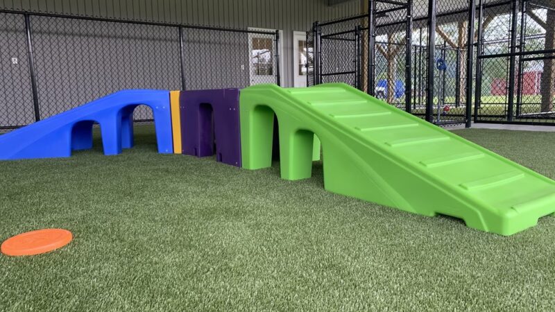 D and J's Pet Lodge - Freeburg, PA