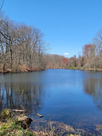 Durand Park - Freehold, NJ