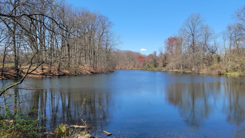 Durand Park - Freehold, NJ
