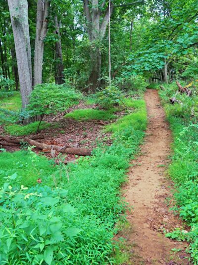 Durand Park - Freehold, NJ