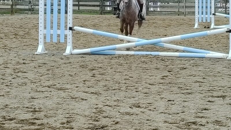 East Freehold Showgrounds - Freehold, NJ