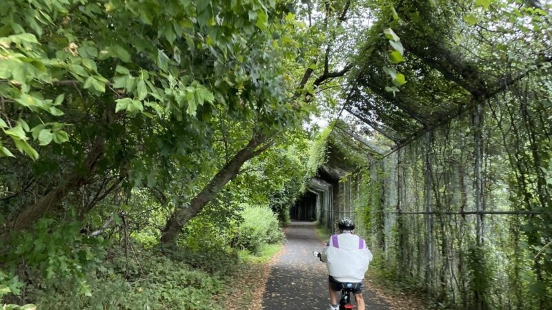 Henry Hudson Trail Freehold Trailhead - Freehold, NJ