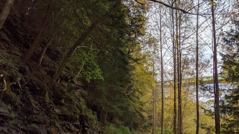 Butler-Freeport Community Trail Laneville South Trailhead - Freeport, PA